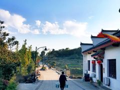 -巢湖姥山岛