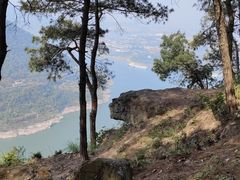 -铁山坪森林公园