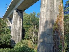 -东莞市大岭山森林公园