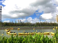 -上海长兴岛郊野公园