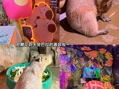 -正佳极地海洋世界