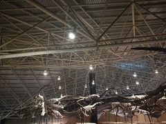 -世界恐龙谷景区