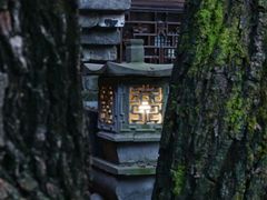 -鱼桥巷·美学川菜