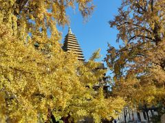 -北京石刻艺术博物馆(五塔寺)