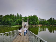 -东湖落雁景区