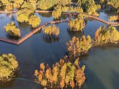 -贡湖湾湿地公园