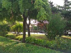 -北戴河东海水浴场