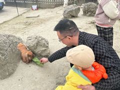 -洪湖家庭农场·团建·露营·会议