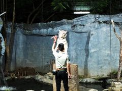-清迈夜间动物园