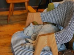 -不舍昼夜咖啡馆