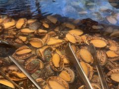-尚宴牛特鲜自助(太原街万达店)