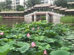 -西海子公园