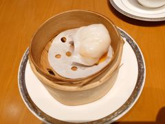 -广州富力君悦大酒店空中花园