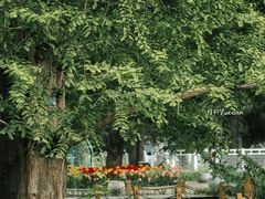 -国家植物园南园