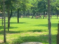 -秦皇岛野生动物园