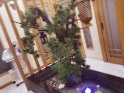 环境优雅-芳朵美容养生SPA