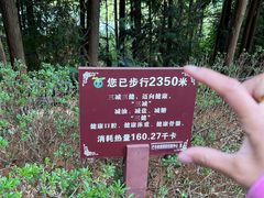 -孔雀湖生态旅游区