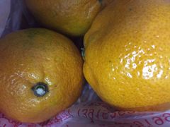 -鲜力达果品批发直销(青山店)