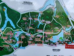 -东莞植物园