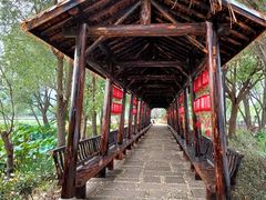 -长兴太湖图影湿地文化园