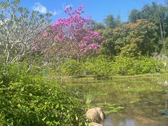-中国科学院西双版纳热带植物园