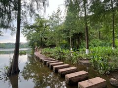 -重庆彩云湖湿地公园