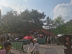 -木兰云雾山