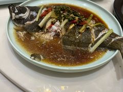 清蒸鸦片鱼-蓝珊瑚蒸汽海鲜餐厅(龙奥店)
