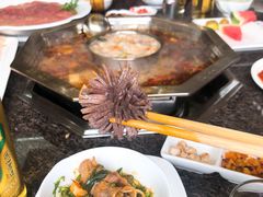 -绵阳森林雨鸭肠王火锅城(丽景花城店)