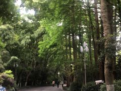 -浙江西子宾馆·瑶园咖啡厅