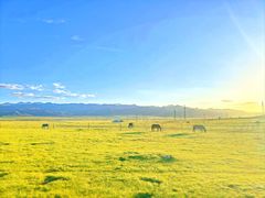 -祁连山草原