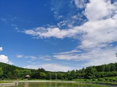 -哈尔滨北方森林动物园