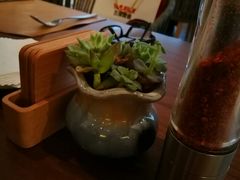 -食百绚全日制餐厅(成都棕榈泉费尔蒙酒店)