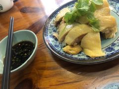 三黄鸡-九斤黄三黄鸡专卖店