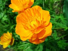 -小五台金河景区