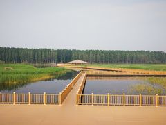 -白洋淀景区