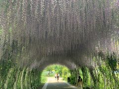 -同里国家湿地公园