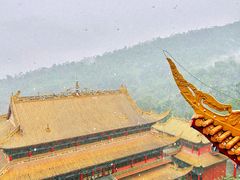 -东莞市大岭山森林公园
