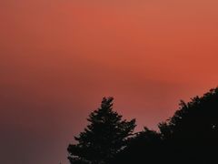 -深圳湾公园(南山区)