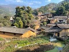 -杨家堂村