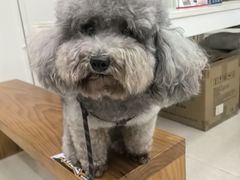 -瑞鹏宠物医院·骨科·猫科·内科(第一中心)