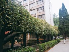 -四川大学(望江校区)