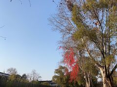 -景德镇陶阳里历史文化旅游区