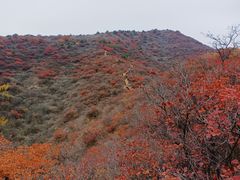 -水峪民俗村
