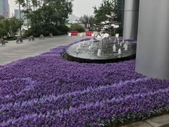 -济南绿地美利亚酒店