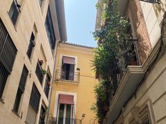 -瓦伦西亚大教堂