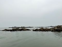 -海合安青岛极地海洋公园