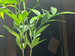-望京一号·重庆江湖菜(工体店)