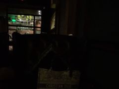 -麥坊俱樂部Maltfun Club