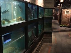 -广东道至正餐厅(区庄店)